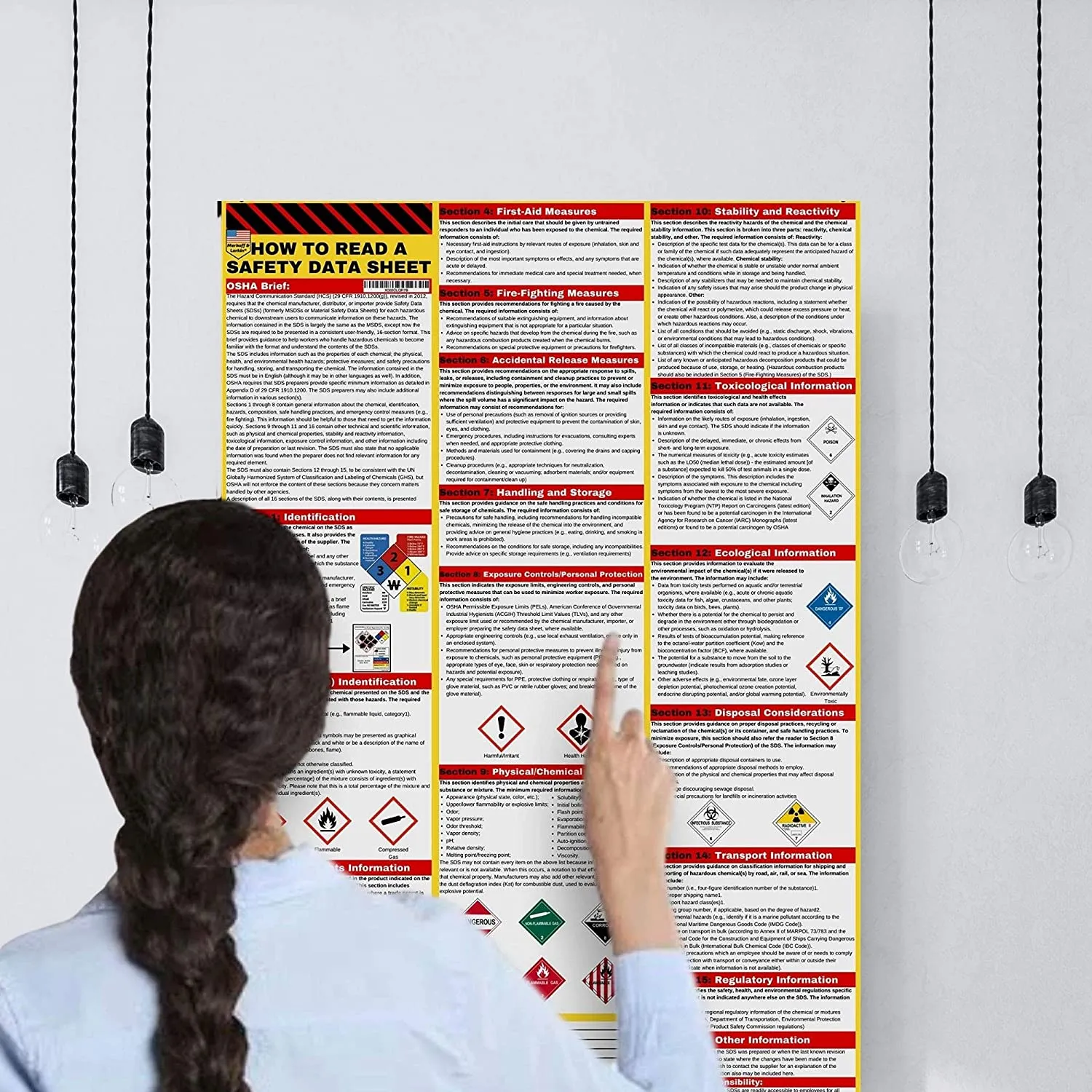 200 CUSTOM RAMOS How To Read A Safety Data Sheet (SDS/MSDS) Poster, 24 x 33 Inch, UV Coated Paper