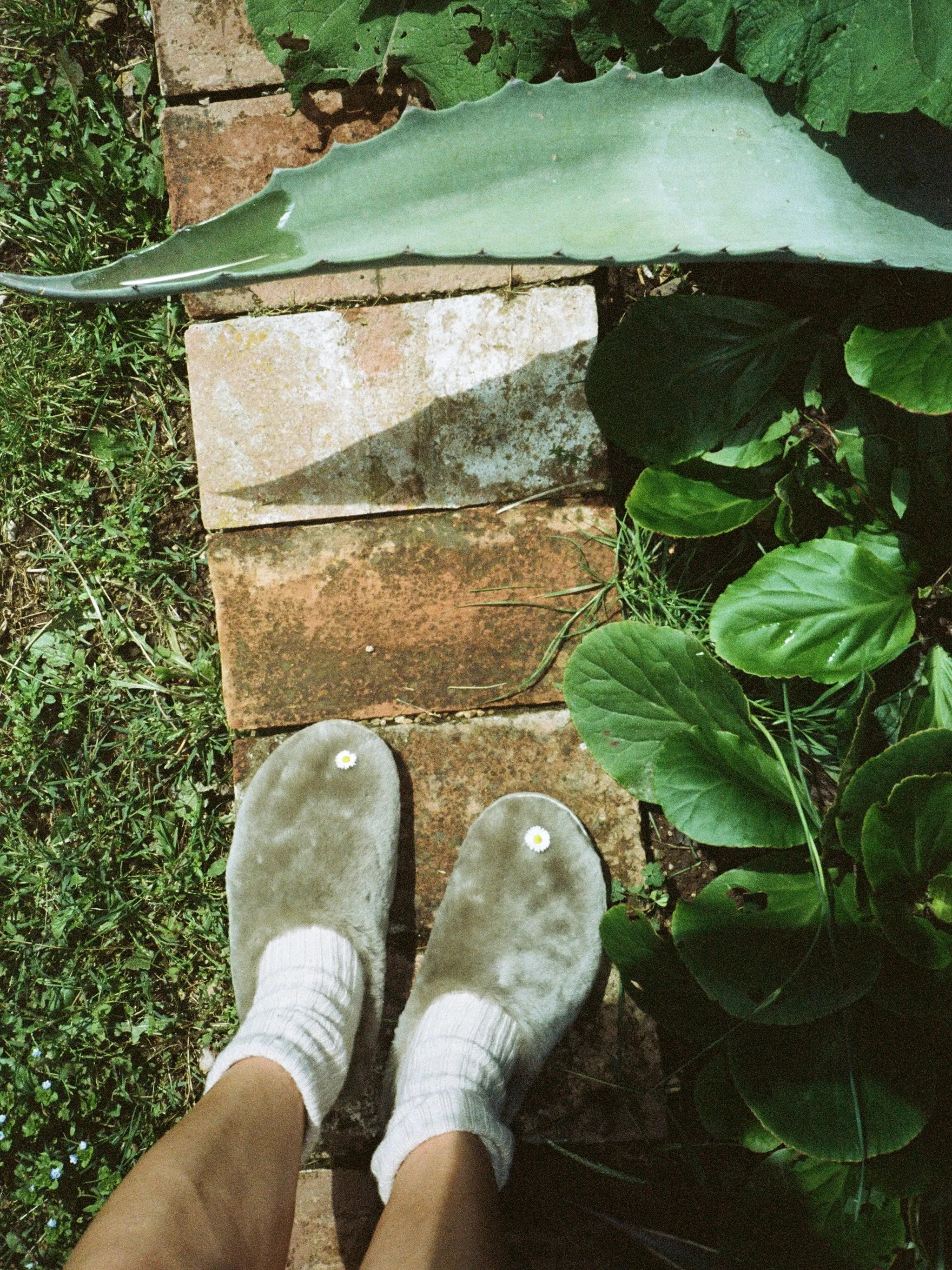 Aura Slip-ons