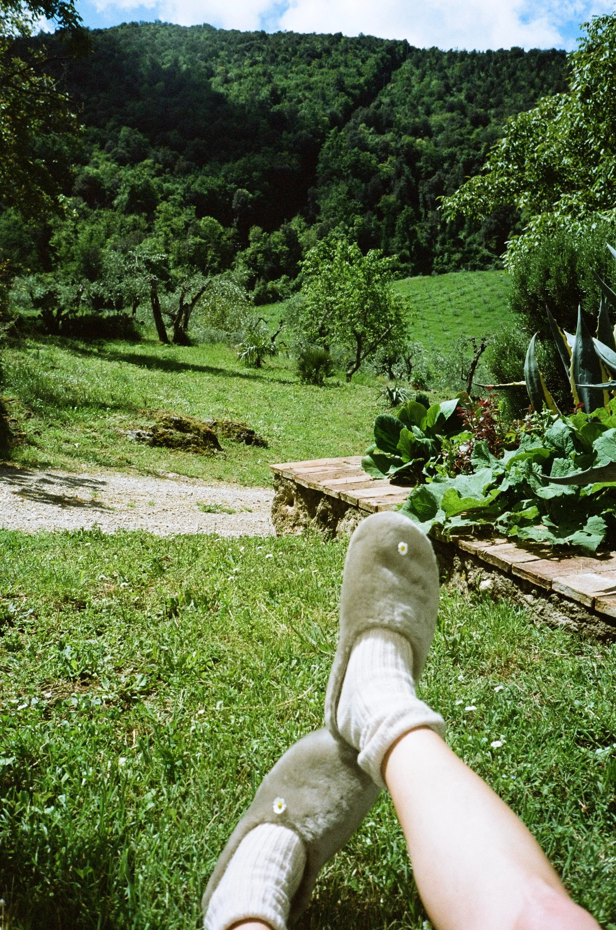 Aura Slip-ons