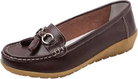 Comfy Shoes for Women Comfortable Walking Shoe Slip On Loafers Flat Penny Loafers Dress Office Shoes Business Shoe