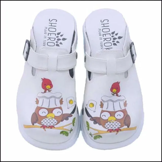 Healthcare Clog Theme