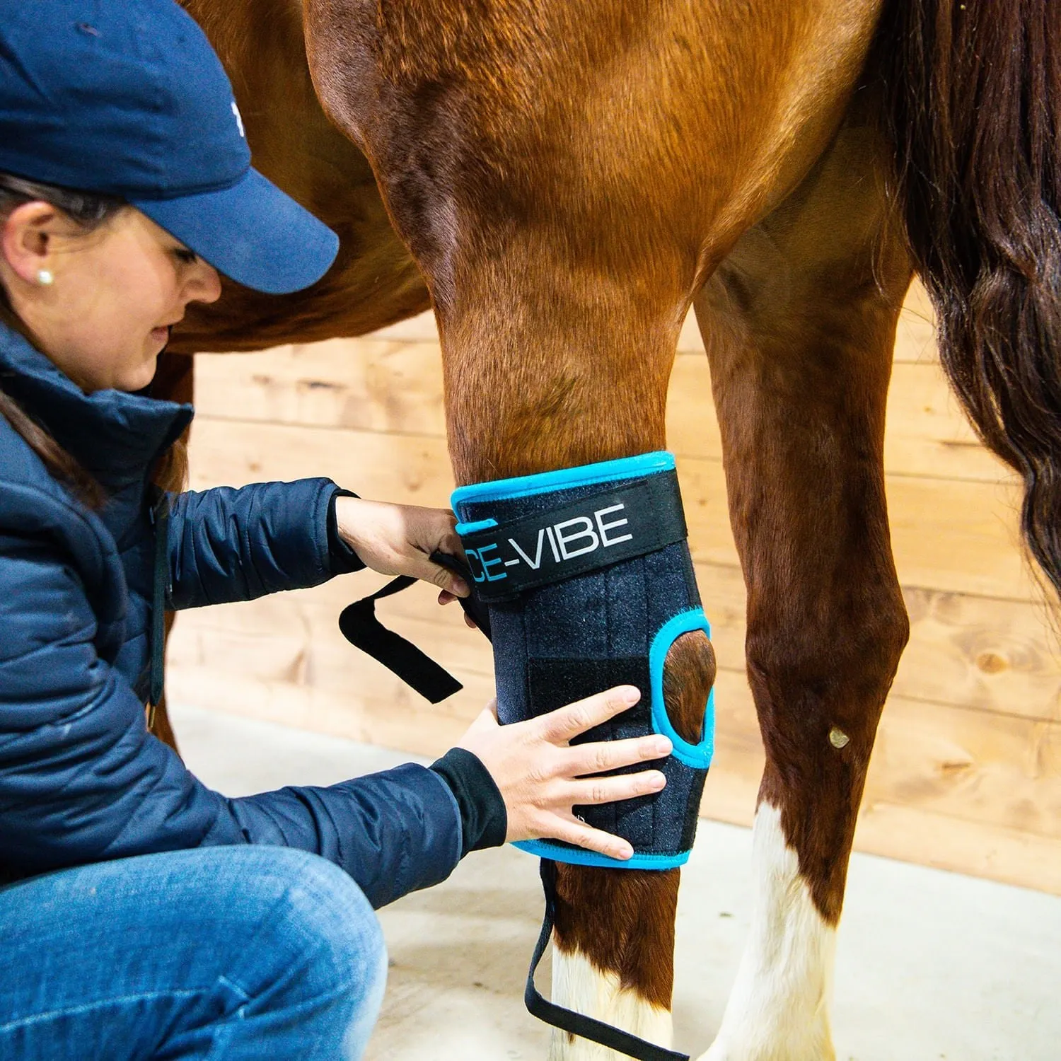Ice Vibe Hock Wrap 8 Piece Horse Therapy Kit