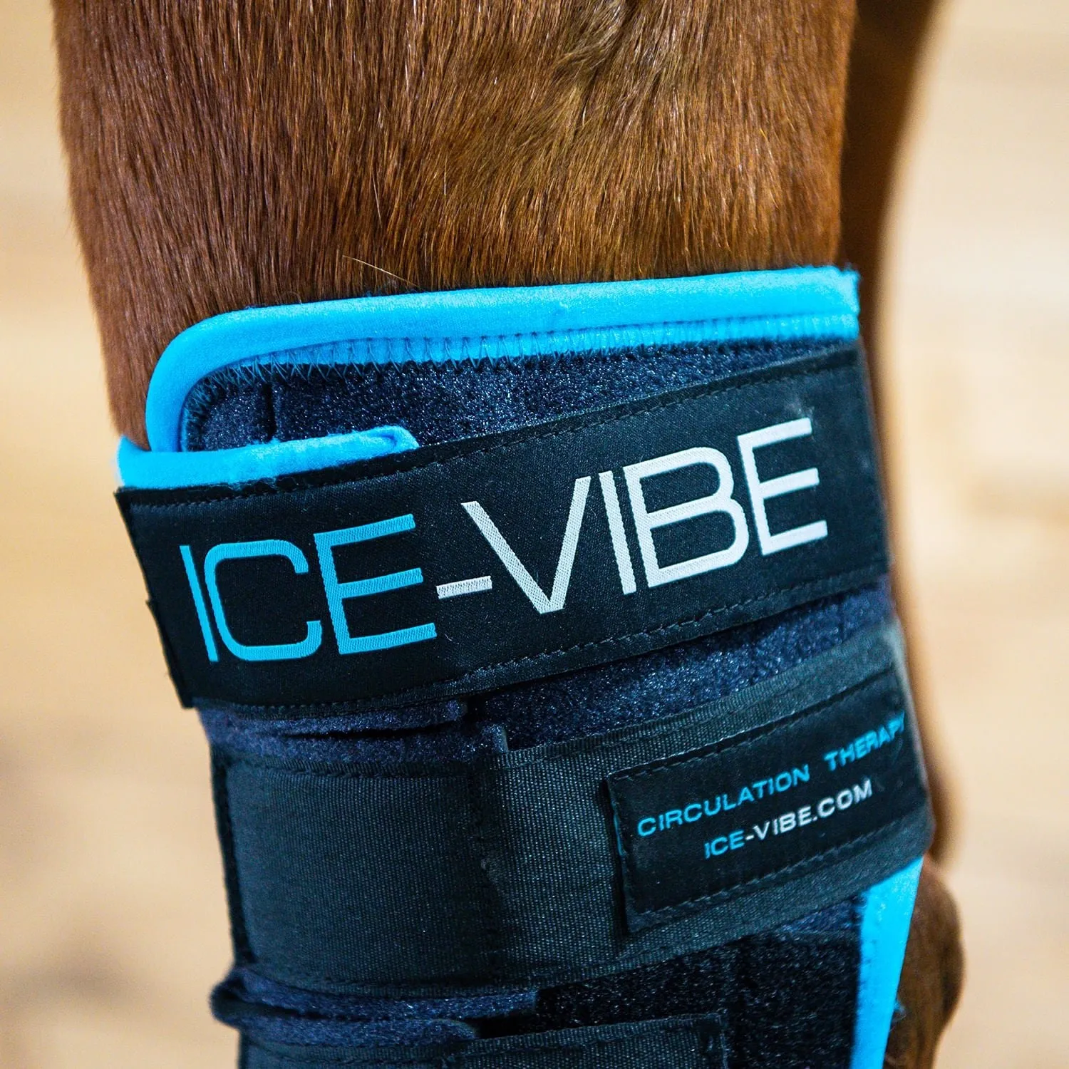 Ice Vibe Hock Wrap 8 Piece Horse Therapy Kit